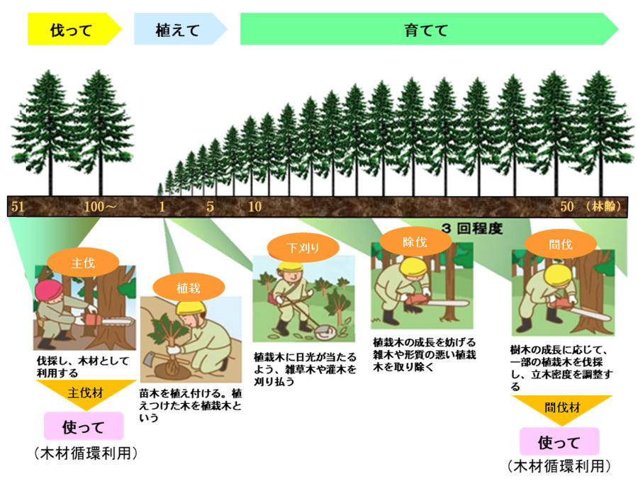 県内の民有林人工林の林齢別面積